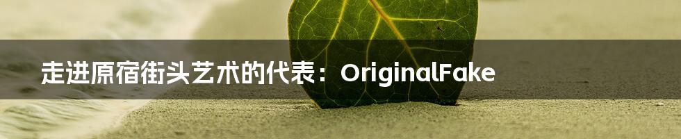 走进原宿街头艺术的代表：OriginalFake