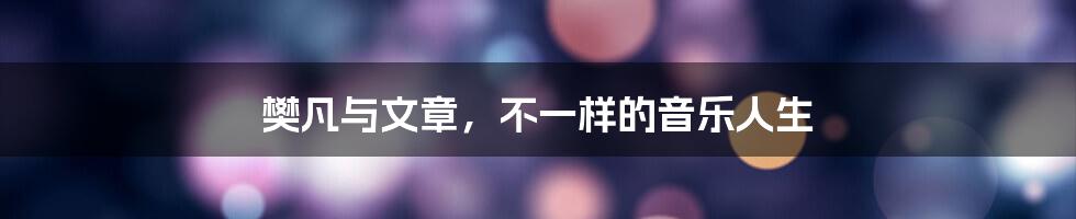 樊凡与文章，不一样的音乐人生