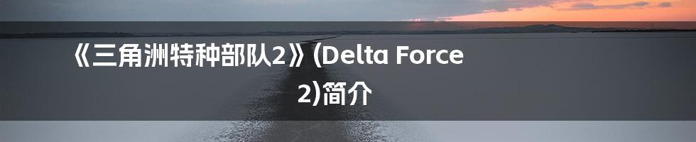 《三角洲特种部队2》(Delta Force 2)简介