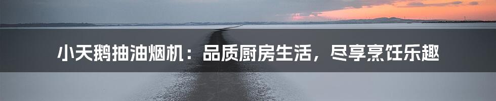 小天鹅抽油烟机：品质厨房生活，尽享烹饪乐趣