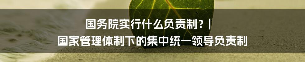 国务院实行什么负责制？| 国家管理体制下的集中统一领导负责制