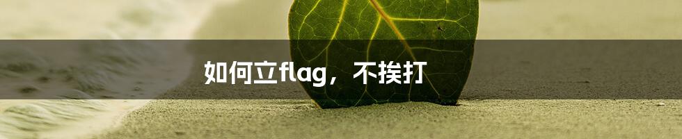 如何立flag，不挨打