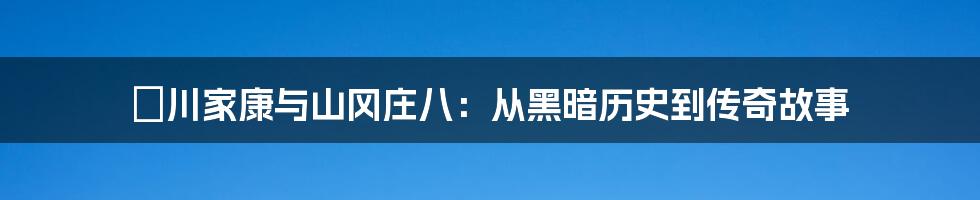 徳川家康与山冈庄八：从黑暗历史到传奇故事