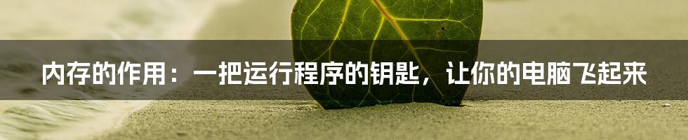 内存的作用：一把运行程序的钥匙，让你的电脑飞起来