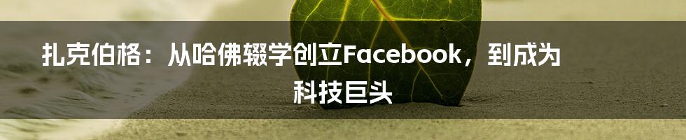 扎克伯格：从哈佛辍学创立Facebook，到成为科技巨头