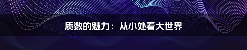 质数的魅力：从小处看大世界