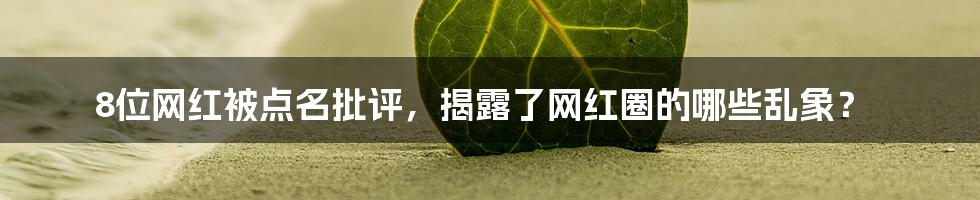 8位网红被点名批评，揭露了网红圈的哪些乱象？