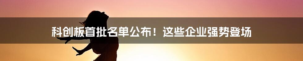 科创板首批名单公布！这些企业强势登场