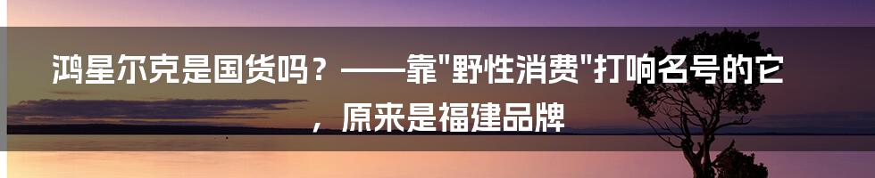 鸿星尔克是国货吗？——靠"野性消费"打响名号的它，原来是福建品牌