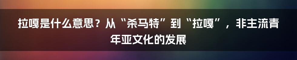 拉嘎是什么意思？从“杀马特”到“拉嘎”，非主流青年亚文化的发展