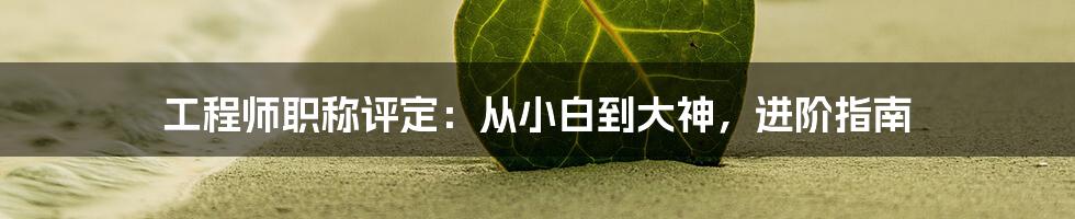 工程师职称评定：从小白到大神，进阶指南