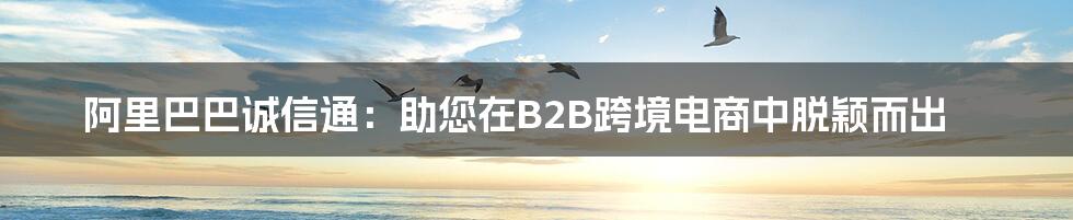 阿里巴巴诚信通：助您在B2B跨境电商中脱颖而出