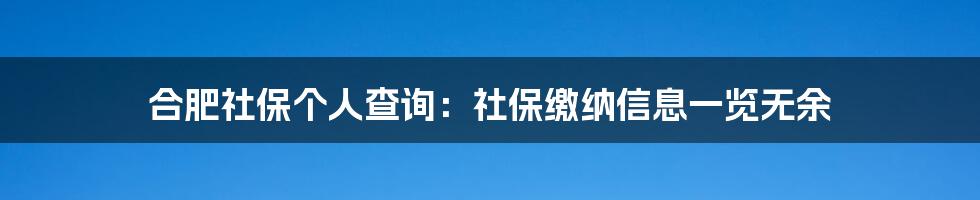 合肥社保个人查询：社保缴纳信息一览无余