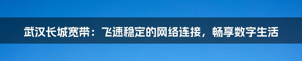 武汉长城宽带：飞速稳定的网络连接，畅享数字生活