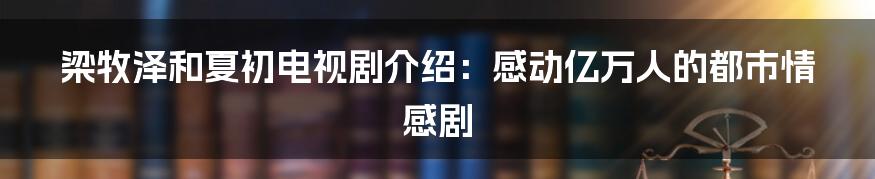 梁牧泽和夏初电视剧介绍：感动亿万人的都市情感剧