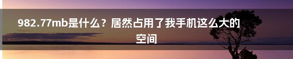 982.77mb是什么？居然占用了我手机这么大的空间