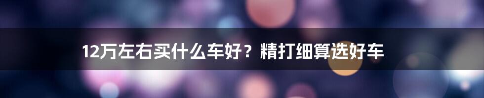 12万左右买什么车好？精打细算选好车