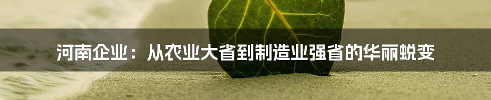 河南企业：从农业大省到制造业强省的华丽蜕变