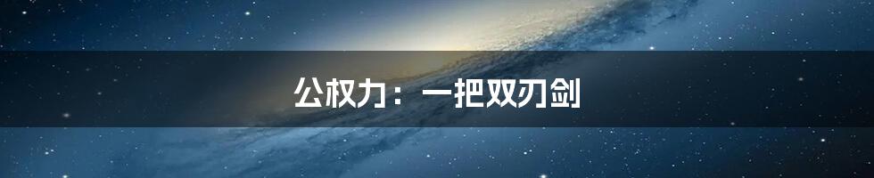 公权力：一把双刃剑