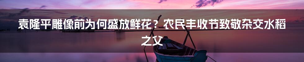 袁隆平雕像前为何盛放鲜花？农民丰收节致敬杂交水稻之父