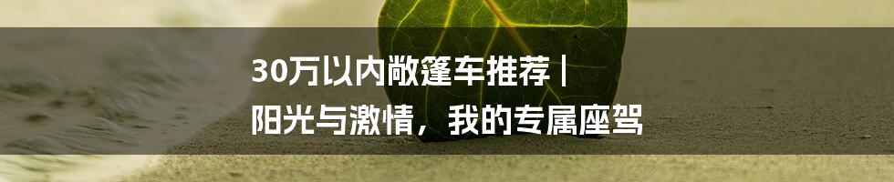 30万以内敞篷车推荐 | 阳光与激情，我的专属座驾