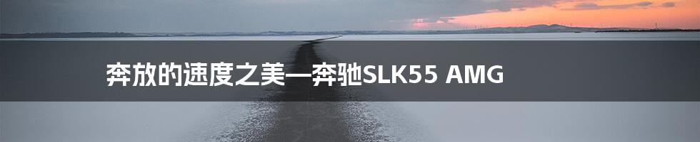 奔放的速度之美—奔驰SLK55 AMG