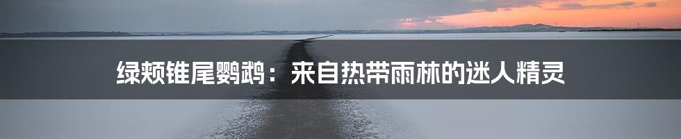 绿颊锥尾鹦鹉：来自热带雨林的迷人精灵