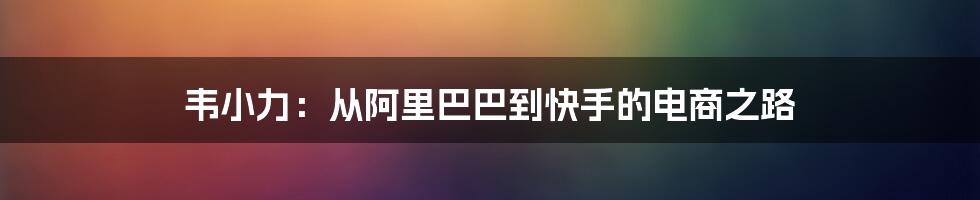 韦小力：从阿里巴巴到快手的电商之路