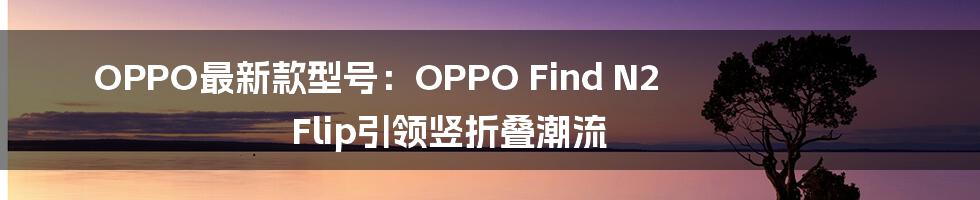 OPPO最新款型号：OPPO Find N2 Flip引领竖折叠潮流