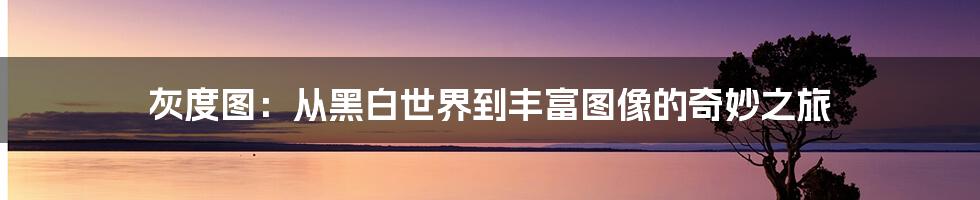 灰度图：从黑白世界到丰富图像的奇妙之旅