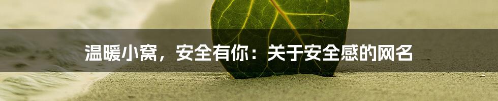 温暖小窝，安全有你：关于安全感的网名