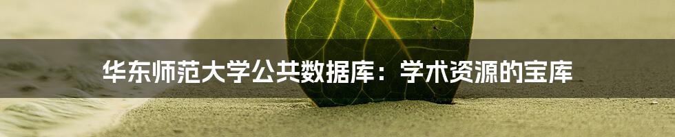 华东师范大学公共数据库：学术资源的宝库