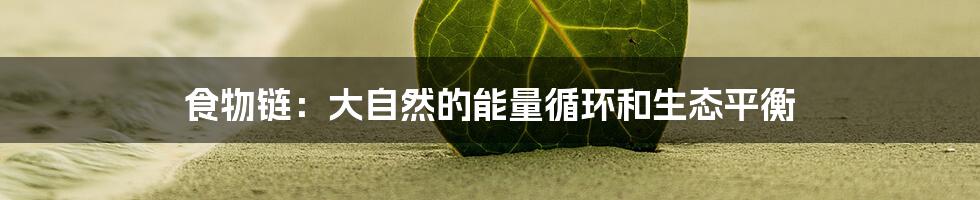 食物链：大自然的能量循环和生态平衡