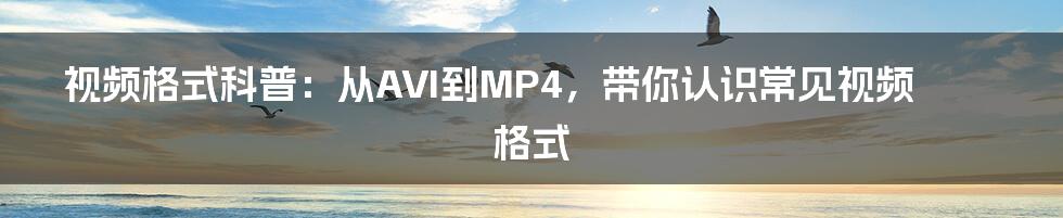 视频格式科普：从AVI到MP4，带你认识常见视频格式