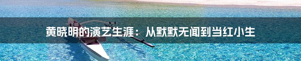 黄晓明的演艺生涯：从默默无闻到当红小生