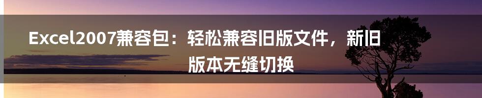 Excel2007兼容包：轻松兼容旧版文件，新旧版本无缝切换