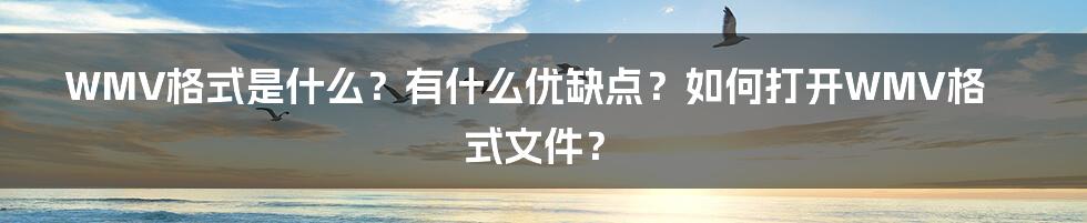 WMV格式是什么？有什么优缺点？如何打开WMV格式文件？