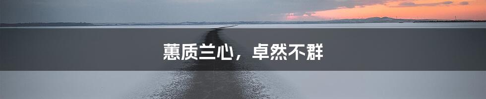 蕙质兰心，卓然不群