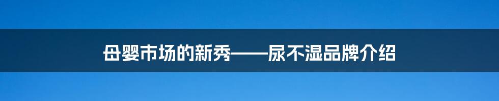 母婴市场的新秀——尿不湿品牌介绍