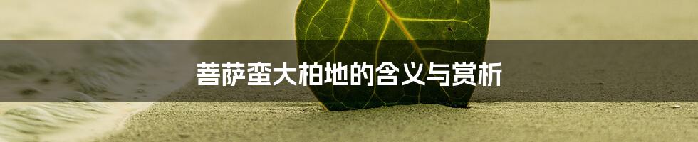 菩萨蛮大柏地的含义与赏析