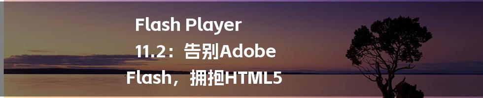 Flash Player 11.2：告别Adobe Flash，拥抱HTML5