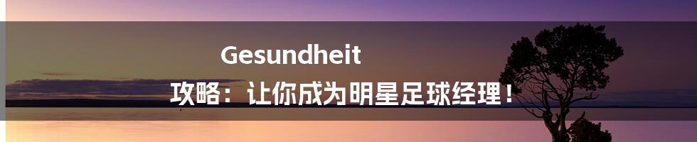 Gesundheit 攻略：让你成为明星足球经理！