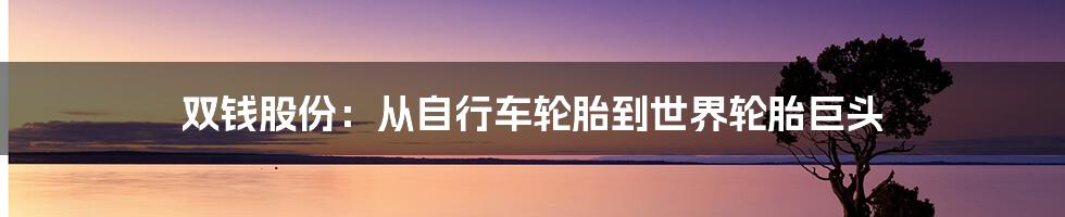 双钱股份：从自行车轮胎到世界轮胎巨头