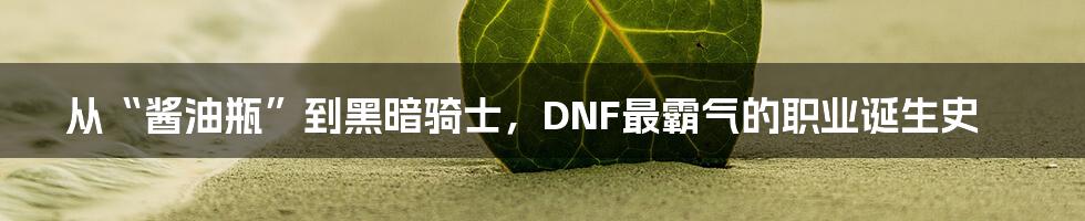 从“酱油瓶”到黑暗骑士，DNF最霸气的职业诞生史