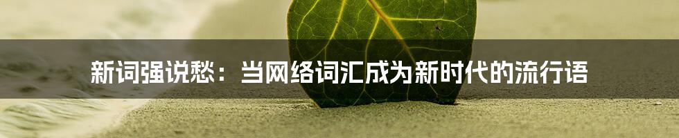 新词强说愁：当网络词汇成为新时代的流行语