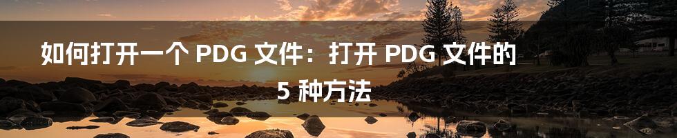 如何打开一个 PDG 文件：打开 PDG 文件的 5 种方法