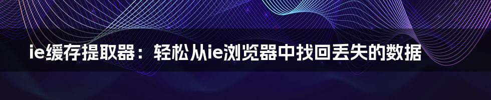 ie缓存提取器：轻松从ie浏览器中找回丢失的数据