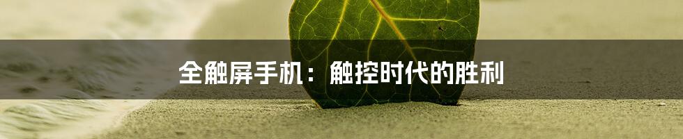 全触屏手机：触控时代的胜利