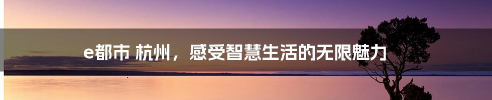 e都市 杭州，感受智慧生活的无限魅力