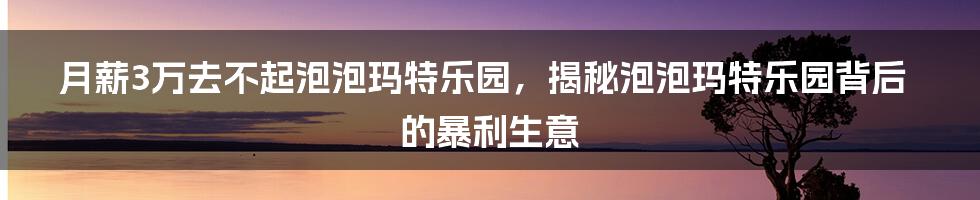 月薪3万去不起泡泡玛特乐园，揭秘泡泡玛特乐园背后的暴利生意